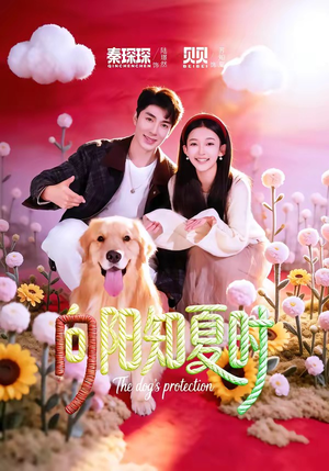 向阳知夏时（80集）360网盘观看