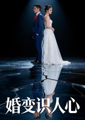 婚变识人心（54集）短剧有好货推荐