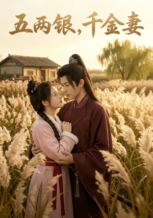 五两银，千金妻（60集）热门短剧推荐。
