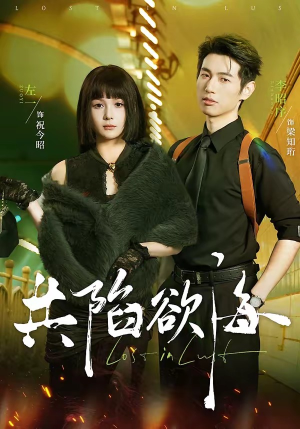 共陷欲海（66集）去哪里看