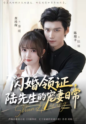 闪婚领证，陆先生的宠妻日常（86集）真的太精彩了
