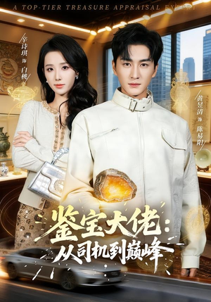 鉴宝大佬： 从司机到巅峰（80集）在线免费观影