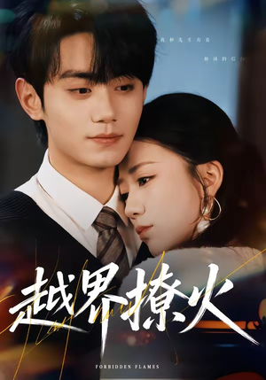 越界撩火（64集）哪个短剧网能看