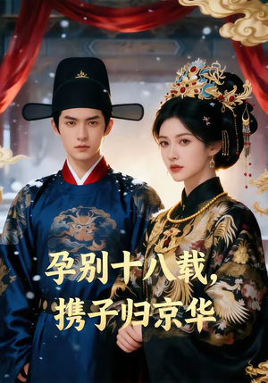 孕别十八载，携子归京华（76集）网盘在线观看
