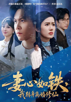 妻心如铁，我转身离婚修仙（81集）在线看免费版