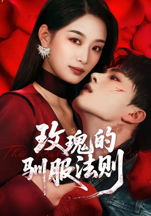 玫瑰的驯服法则（65集）一口气追完全集