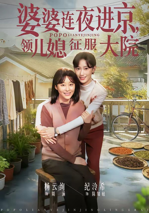 婆婆连夜进京，领儿媳征服大院（78集）集免费看短剧