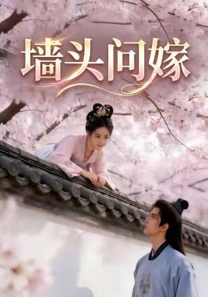 墙头问嫁（29集）百度网盘资源