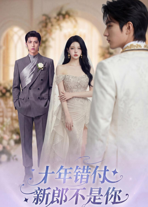 十年错付，新郎不是你（51集）好看的短剧电影