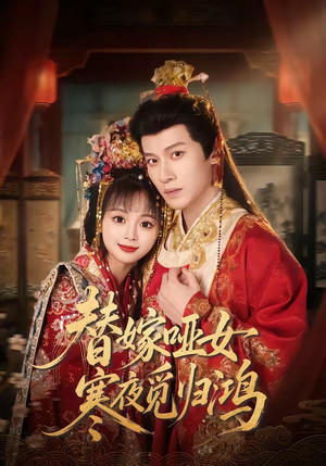 替嫁哑女寒夜觅归鸿（65集）好看的短剧分享