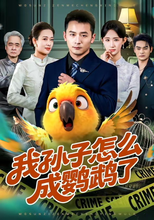 我孙子怎么成鹦鹉了（71集）精彩短剧看全集