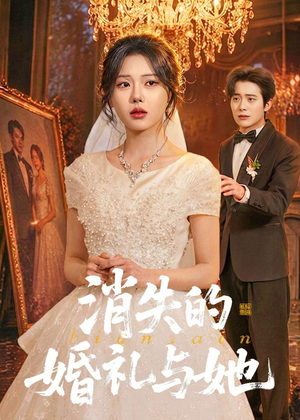 消失的婚礼与她（70集）免费观看就是爽