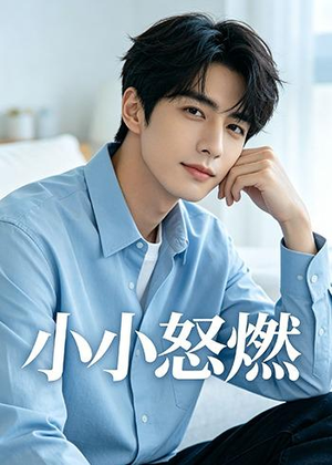 小小怒燃（19集）海量短剧免费看