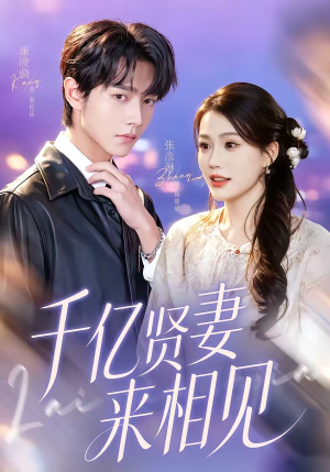 钻石贤妻来相见（72集）在线观看全集