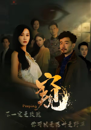 窥伺（37集）追风的女孩短剧