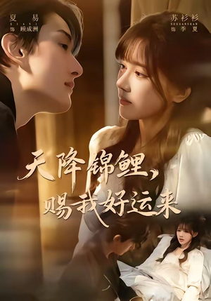 天降锦鲤，赐我好运来（60集）免费短剧大全