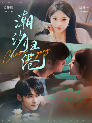 潮汐归港（66集）全集下载