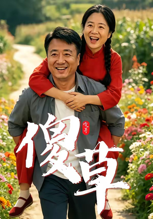 傻草（71集）短剧在线看