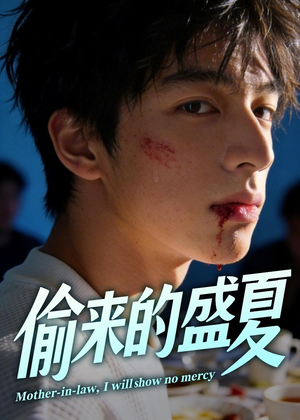 偷来的盛夏（40集）免费观看就是爽