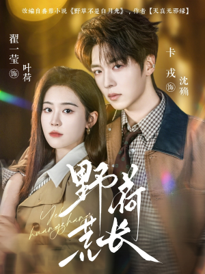 野荷荒长（86集）短剧全集更精彩