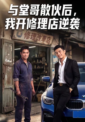 与堂哥散伙后，我开修理店逆袭（40集）古装热门短剧