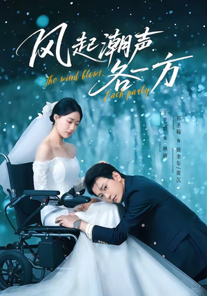 风起潮声各一方（84集）免费看全集