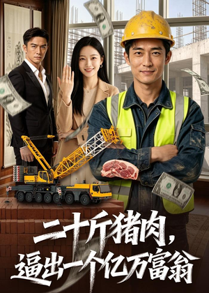 二十斤猪肉，逼出一个亿万富翁（62集）一口气看完
