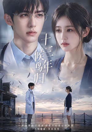 十三年，候鸟归（40集）精彩短剧免费看