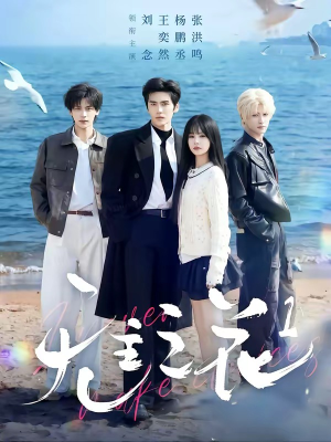 无主之花1（72集）一起追短剧