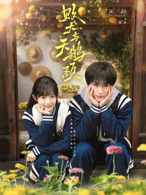 败犬与天鹅颈（71集）最热短剧抢先看
