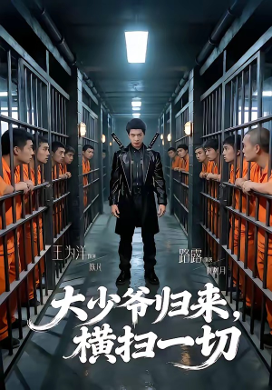 大少爷归来,横扫一切(80集) 大少爷归来,横扫一切(80集)一共多少集