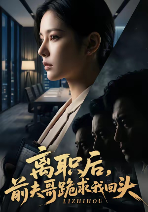 离职后，前夫哥跪求我回头（80集）最新热剧免费看
