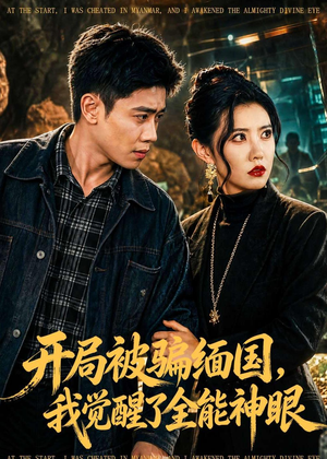 开局被骗缅国，我觉醒了全能神眼（84集）免费看