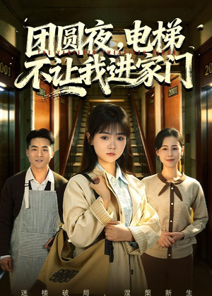 团圆夜，电梯不让我进家门（52集）超火热门短剧