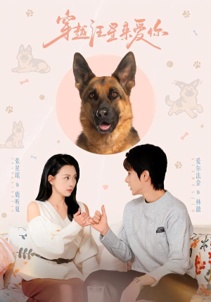 穿越汪星来爱你（62集）番茄短剧免费看
