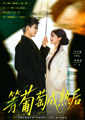 等葡萄成熟后(82集) 等葡萄成熟后(82集)一起追短剧吧