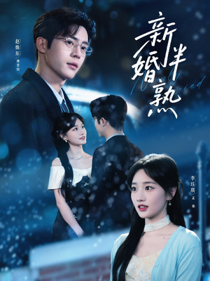 新婚半熟（68集）高清画质免费看
