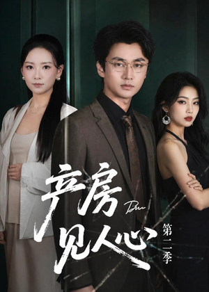 产房见人心第二季（75集）在线看到大结局