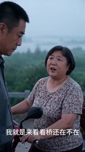 桥塌了，全村慌了！（30集）评价怎么样