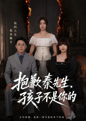 抱歉秦先生，孩子不是你的（53集）热门了短剧