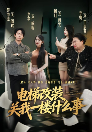 电梯改装关我一楼什么事（60集）在线观看
