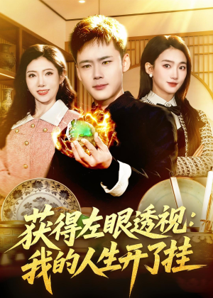 获得左眼透视：我的人生开了挂（102集）最热短剧推荐