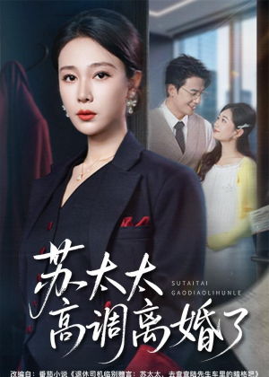 苏太太高调离婚了（62集）热门短剧推广
