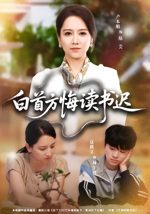白首方悔读书迟（55集）热门火爆短剧