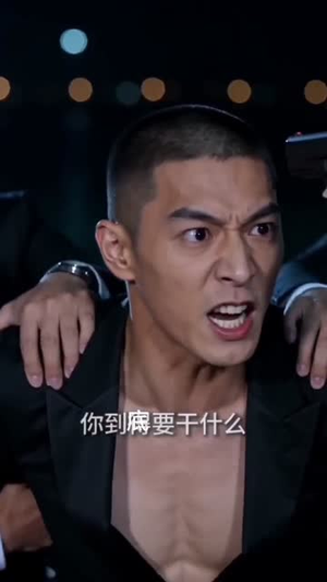 江湖烬（29集）免费版