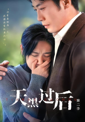 天黑过后第二季（61集）热门短剧推广