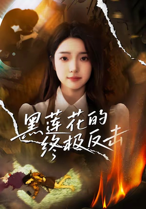 黑莲花的终极反击（60集）无需会员轻松看