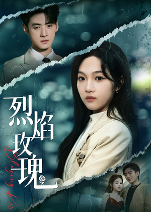 烈焰玫瑰（37集）短剧抢先看全集