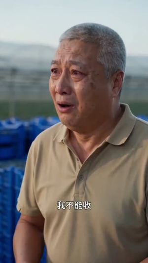 儿媳要房我要果园，冰雹来了见分晓（33集）短剧分享片段