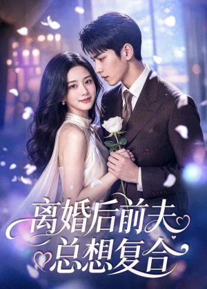 离婚后前夫总想复合（72集）免费版